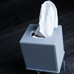 Tissue Box - Image 7