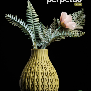 Perpetuo Vase - Image 1