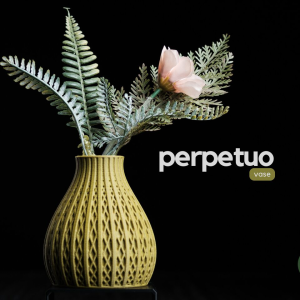 Perpetuo Vase - Image 19