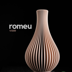 Romeu Vase - Image 1