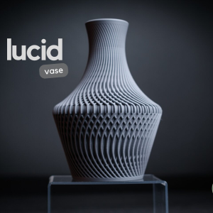 Lucid Vase - Image 1