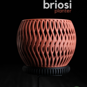 Briosi Planter - Image 1