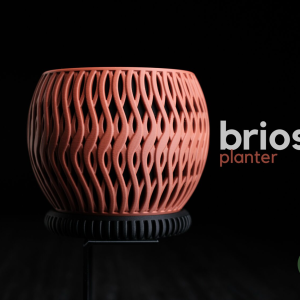 Briosi Planter - Image 22