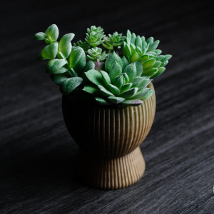 Tundra Planter - Image 5