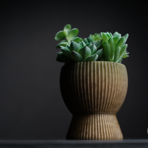 Tundra Planter - Image 10